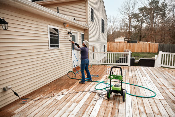 Best Affordable Pressure Washing  in Standish, MI